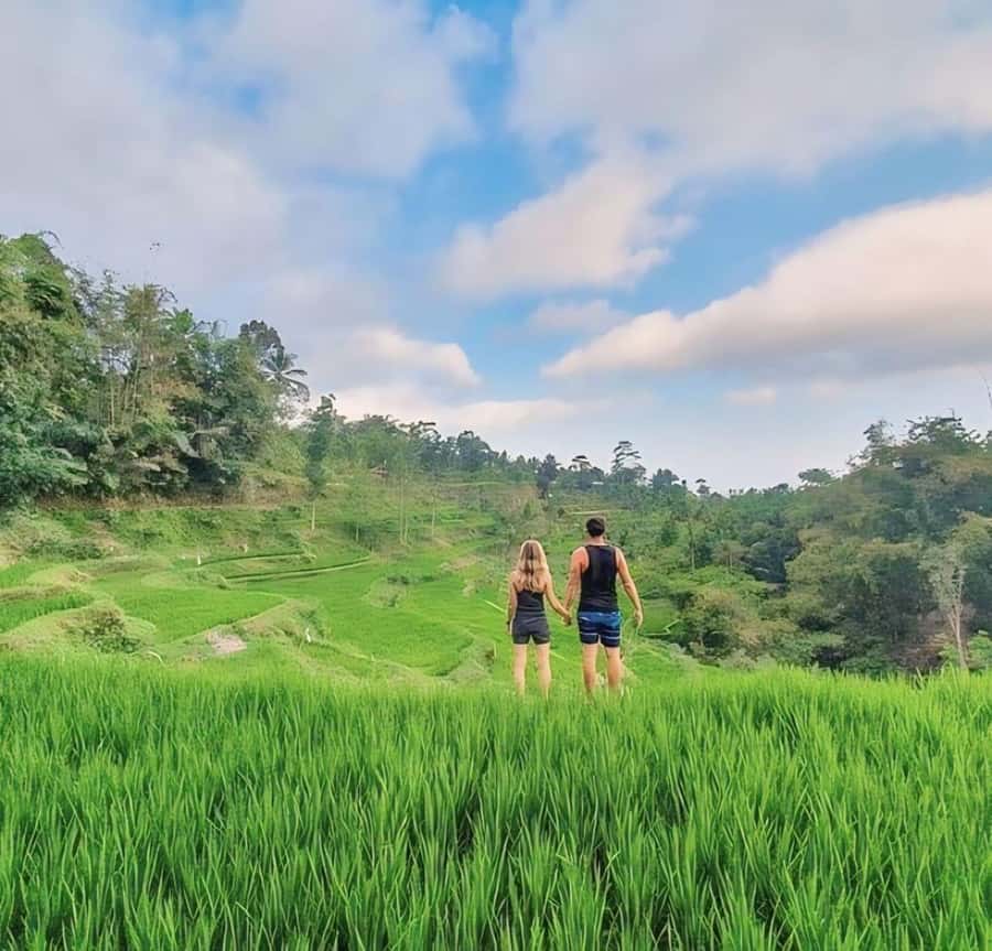 Tetebatu : Waterfall, Rice Fields & Monkey Forest Full day - Why Tetebatu feels different from the coast