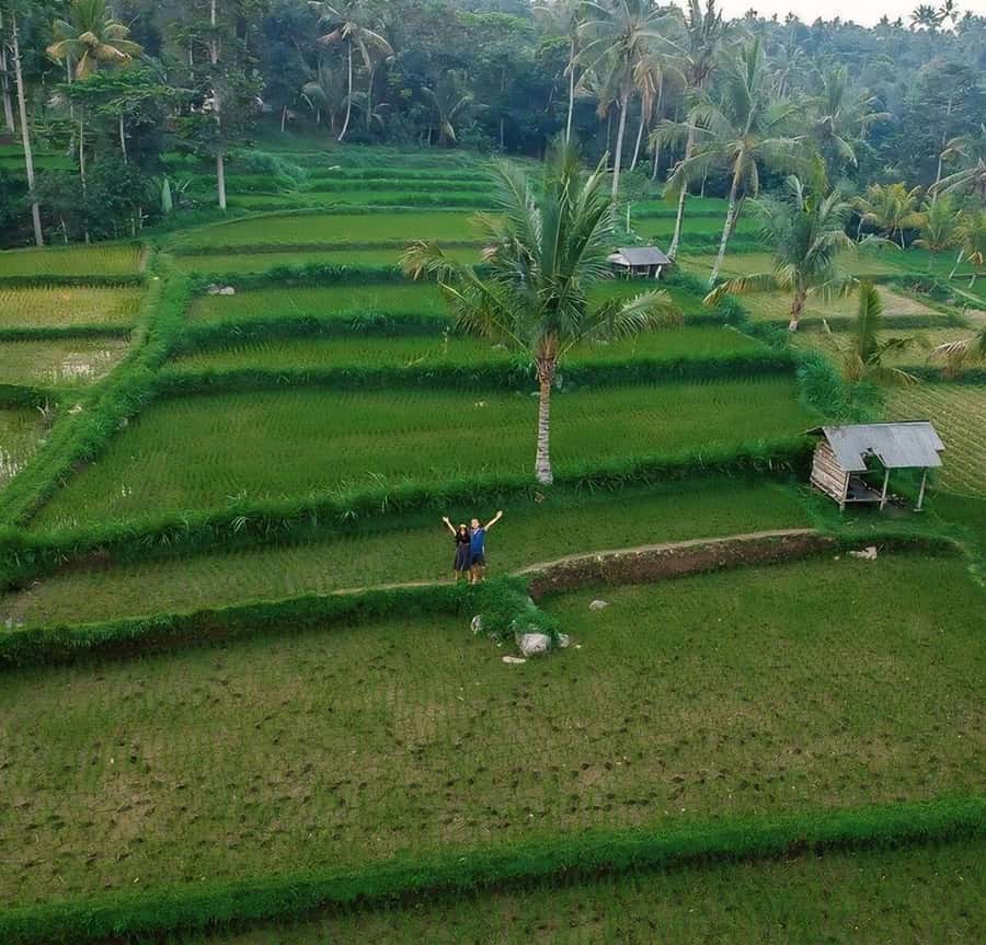Tetebatu : Waterfall, Rice Fields & Monkey Forest Full day - The waterfall swim and river walk
