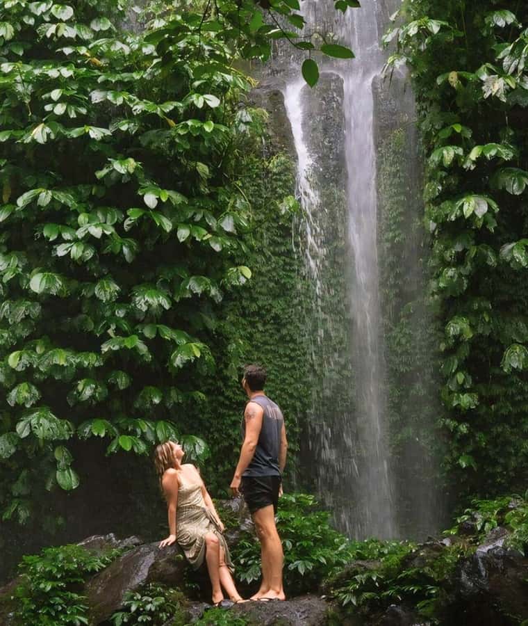 Tetebatu : Waterfall, Rice Fields & Monkey Forest Full day - Searching for black monkeys in the forest