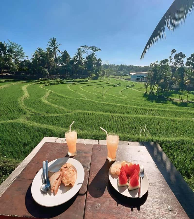Tetebatu : Waterfall, Rice Fields & Monkey Forest Full day - Lunch with a view of fields and temples