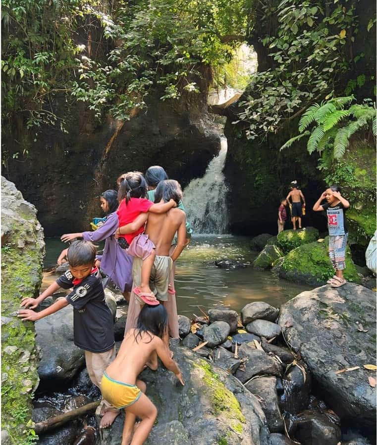 Tetebatu : Waterfall, Rice Fields & Monkey Forest Full day - Guides, drivers, and the private format