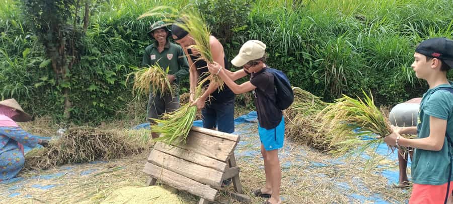 Tetebatu: Waterfalls, Spices, Rice Terrace, Monkey forest - Key points at a glance