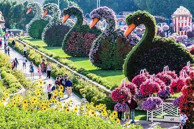 Tickets to Miracle Garden or Butterfly Garden or Global Village - Who Will Enjoy This Best?