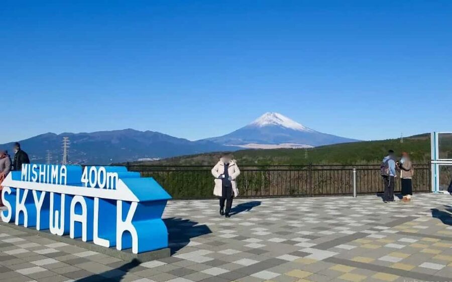 Tokyo:Customizable Private Day Trip to Mt.Fuji & Safari Park - Two ways to see Mt. Fuji in one long day