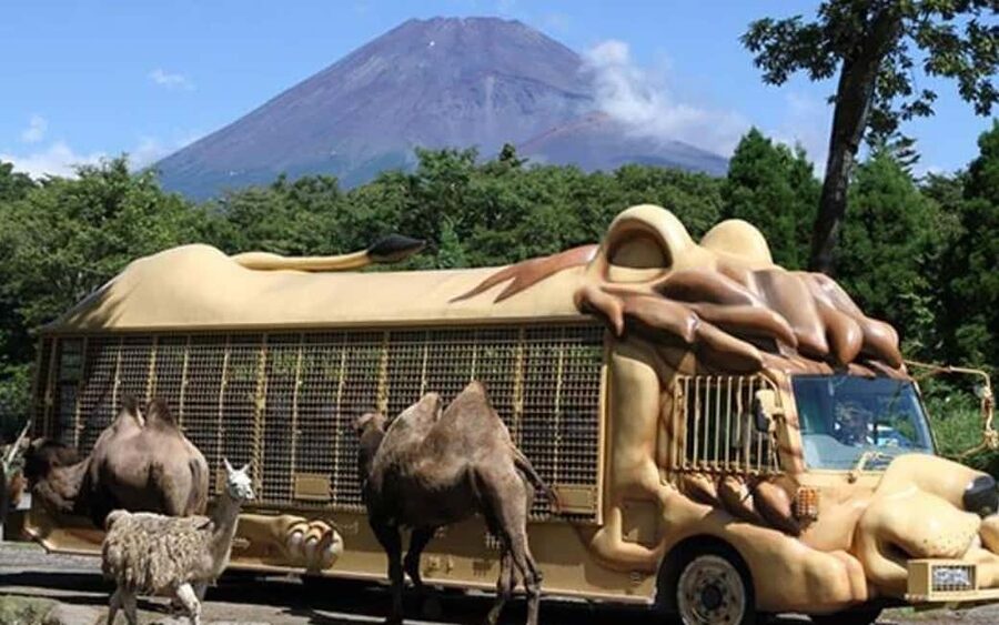 Tokyo:Customizable Private Day Trip to Mt.Fuji & Safari Park - Gotemba, Numazu, and the art of choosing one extra stop