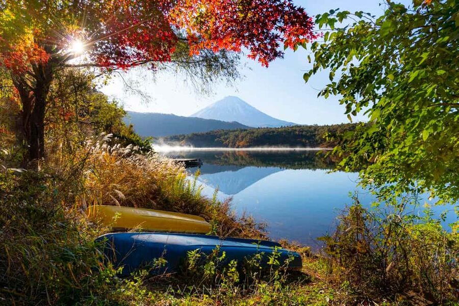 Tokyo:Customizable Private Day Trip to Mt.Fuji & Safari Park - Lake Kawaguchiko and the search for a clear view