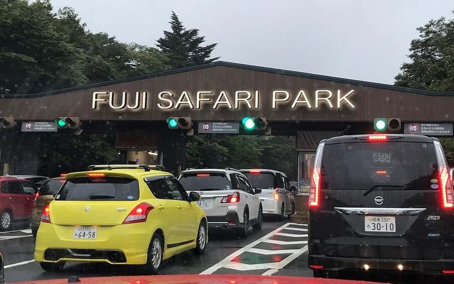 Tokyo:Customizable Private Day Trip to Mt.Fuji & Safari Park - Chureito Pagoda, the famous photo option