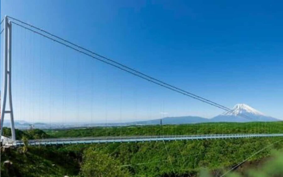 Tokyo:Customizable Private Day Trip to Mt.Fuji & Safari Park - Fuji Safari Park, where the wildlife route gets lively