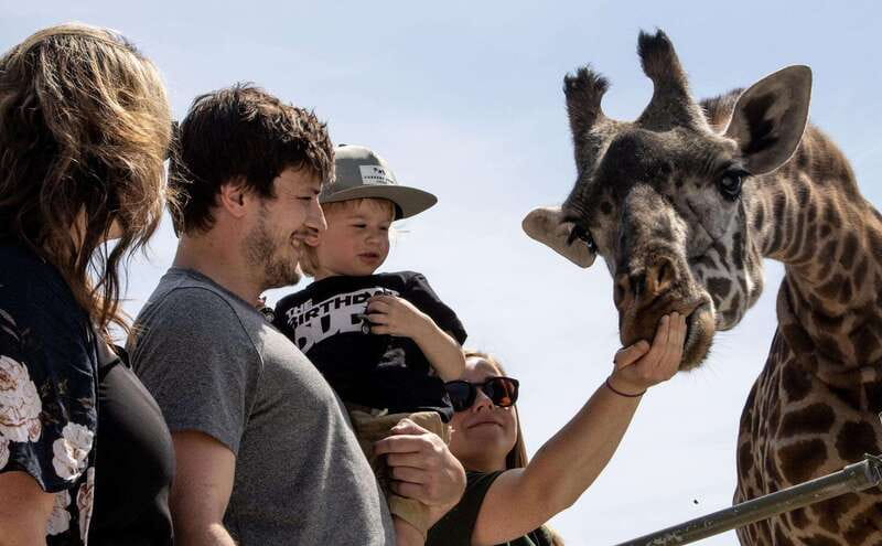 Toronto: Toronto Zoo Entry Ticket - Kids Zoo, Waterside Theatre, and Splash Island