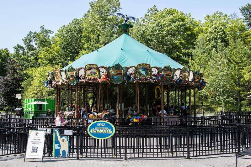 Toronto: Toronto Zoo Entry Ticket - A Good Choice for Families and Curious Adults