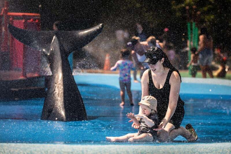 Toronto: Toronto Zoo Entry Ticket - What You Actually Get for $22