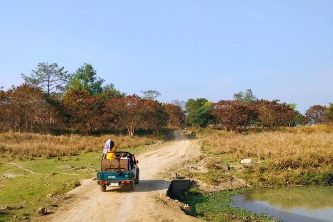 Tour of Pobitora Wildlife Sanctuary from Guwahati with Safari, Lunch and Guide - Key points at a glance