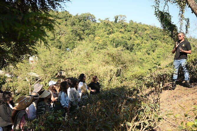 Tour of Pobitora Wildlife Sanctuary from Guwahati with Safari, Lunch and Guide - Who will enjoy this day trip most