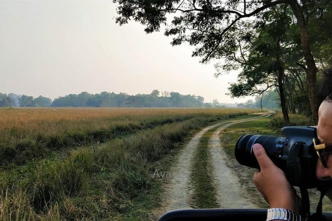 Tour of Pobitora Wildlife Sanctuary from Guwahati with Safari, Lunch and Guide - A morning departure between 6:00 and 9:00