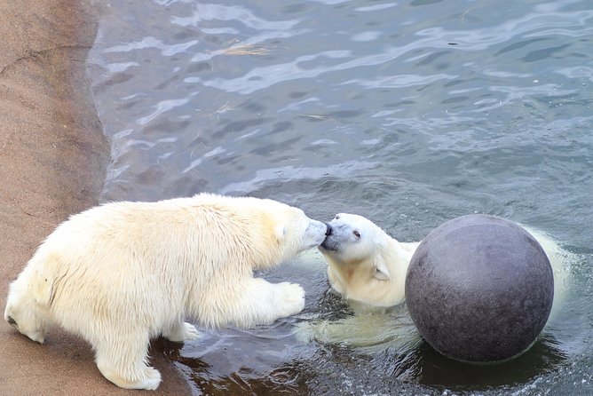 Tour to Ranua Zoo Wildlife Park Small Group Experience - The one-hour ride from Rovaniemi
