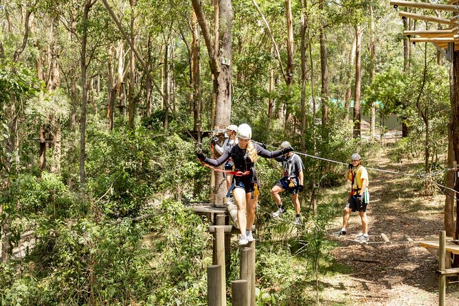 TreeTop Challenge Currumbin Wildlife Park - A rainforest course with a crocodile crossing