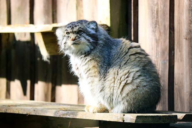 Trip to Ranua Wildlife Park - Is $174.60 a fair price?