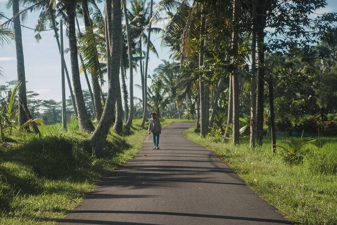 Ubud Art, Monkey Forest and Rice Terrace Tour - Tegallalang Rice Terrace: the countryside finish