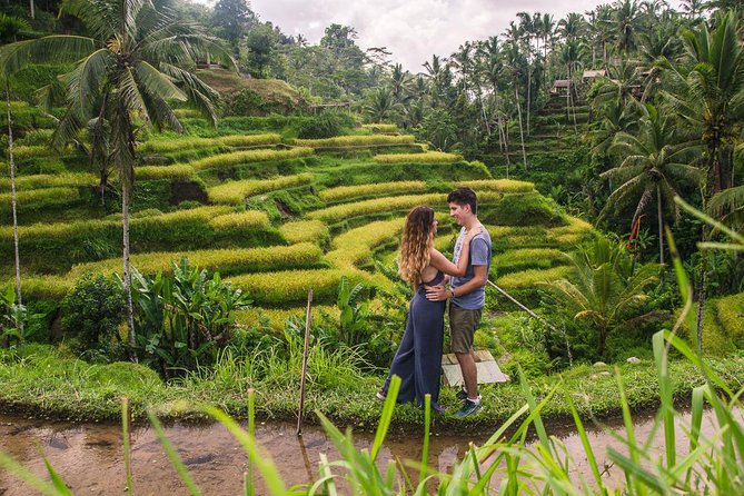 Ubud City Tour II: Monkey Forest, Palace, Art Market, and Rice Terrace - Meeting the macaques at Monkey Forest