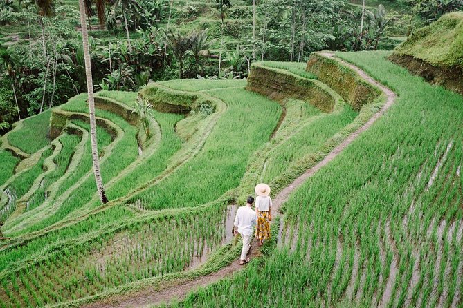 Ubud City Tour II: Monkey Forest, Palace, Art Market, and Rice Terrace - Is $65 a fair price?