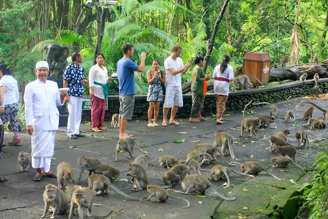 Ubud Day Tour: Sacred Monkey Forest, Tegenungan Waterfall, Rice Terrace - Ubud Market is your best shopping window