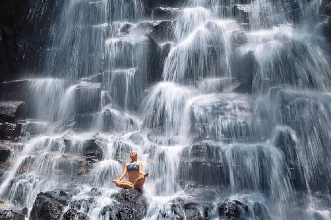 Ubud Full Day - Monkey Forest, Rice Terrace and Waterfalls Tour - Monkey Forest: wildlife with a cultural setting