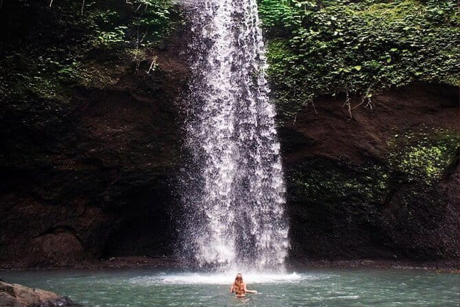 Ubud Full Day - Monkey Forest, Rice Terrace and Waterfalls Tour - The jungle swing: popular, optional, and not included