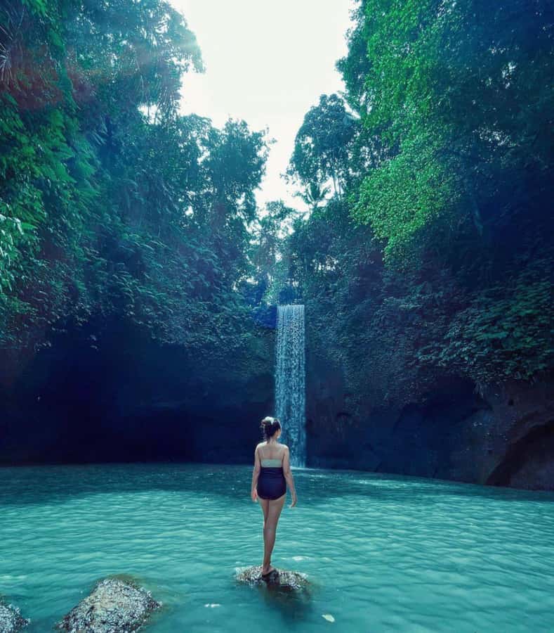 Ubud: Full-Day Rice Terrace, Monkey Forest & Waterfall - Who should book this tour?