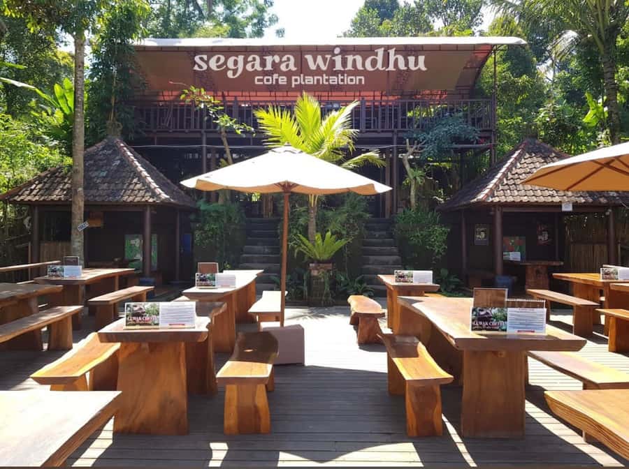 Ubud: Full-Day Rice Terrace, Monkey Forest & Waterfall - Coffee, tea, and the Segara Windhu plantation