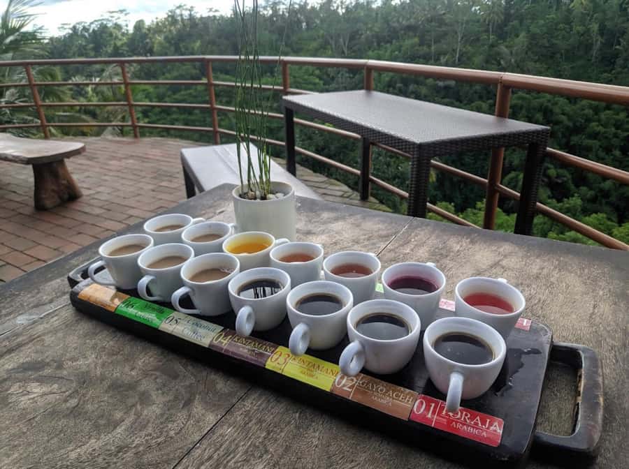 Ubud: Full-Day Rice Terrace, Monkey Forest & Waterfall - Cooling off at Tibumana Waterfall