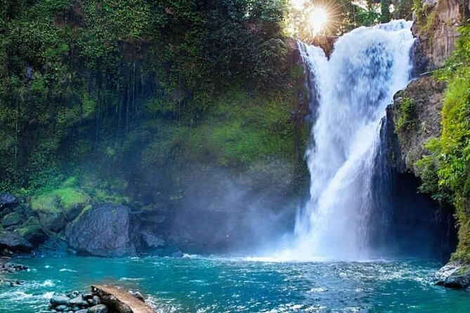 Ubud Full Day Tour Waterfall Monkey Forest Rice Terrace - Tegallalang Rice Terrace: Bali’s famous stepped fields
