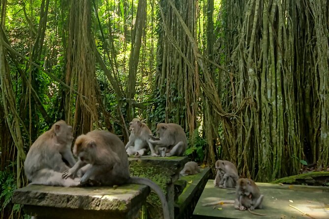 Ubud Guided Tour Monkey Forest, Waterfall, Temple & Rice Terrace. - Ubud Palace and the art market