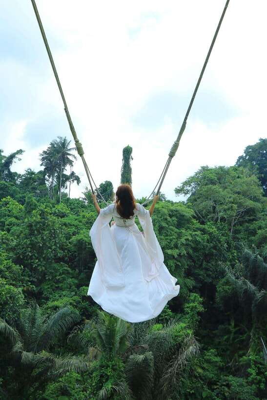 Ubud: Hidden Waterfall, Monkey Forest, Rice Terrace & Swing - One private day through Ubud’s natural sights
