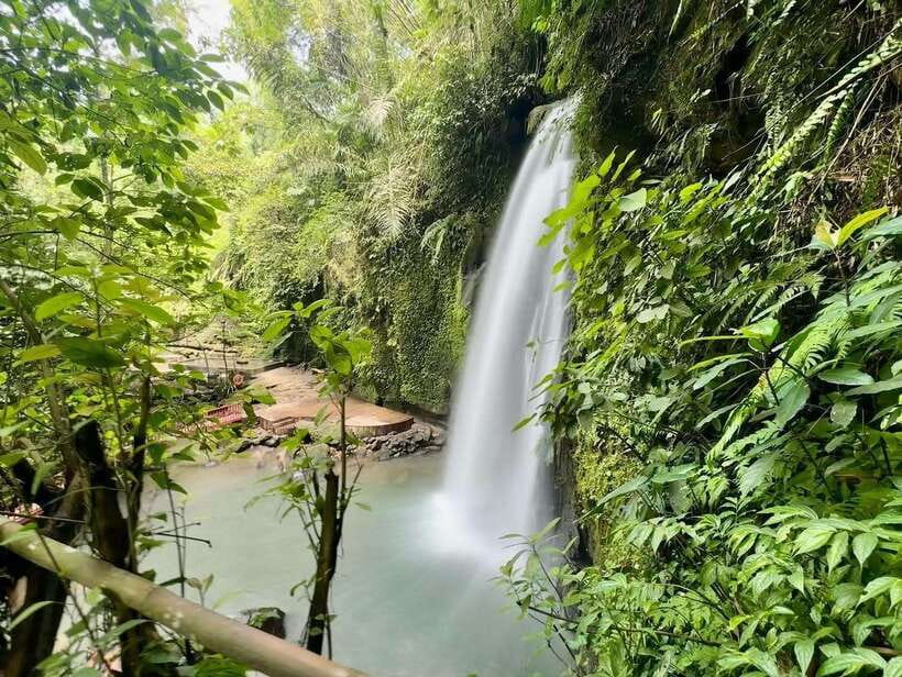 Ubud: Hidden Waterfall, Monkey Forest, Rice Terrace & Swing - The jungle swing and coffee plantation