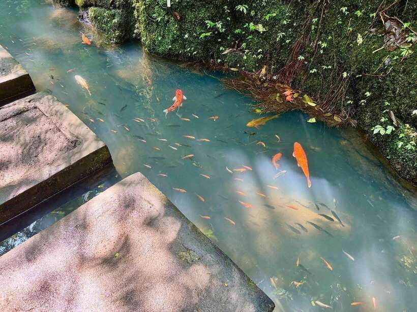 Ubud: Hidden Waterfall, Monkey Forest, Rice Terrace & Swing - How the seven-hour schedule feels
