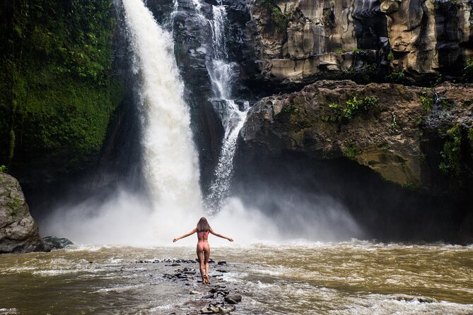 Ubud Iconic Full Day Tour Monkey Forest Rice Terraces Waterfalls - Meeting the macaques at Sacred Monkey Forest