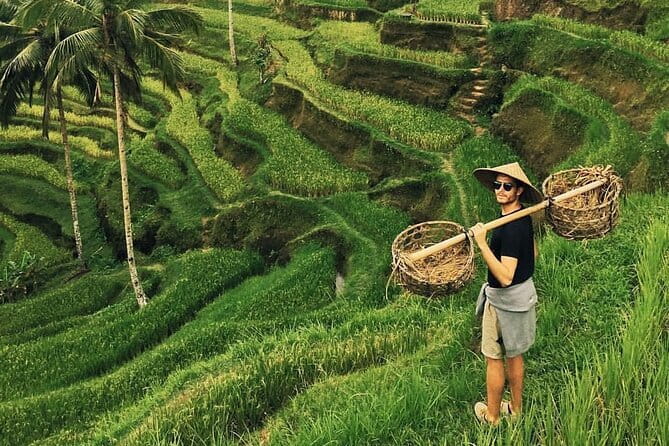 Ubud Jungle Swing - Monkey Forest - Water Temple - Waterfall - Key points at a glance