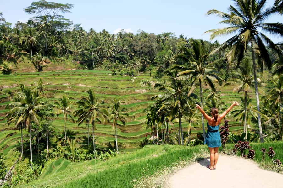 Ubud: Monkey Forest and Rice Terrace Private Tour - Key points to know before booking