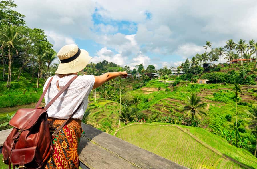 Ubud: Monkey Forest and Rice Terrace Private Tour - What happens at the luwak coffee plantation