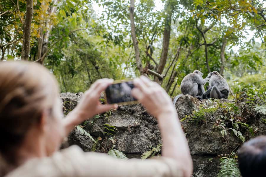 Ubud: Monkey Forest, Ceking Rice Terraces and More– Full Day - Quick takeaways