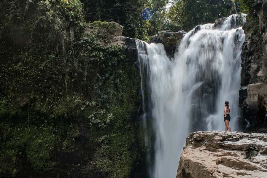Ubud: Monkey Forest, Ceking Rice Terraces and More– Full Day - Why this Ubud day tour works