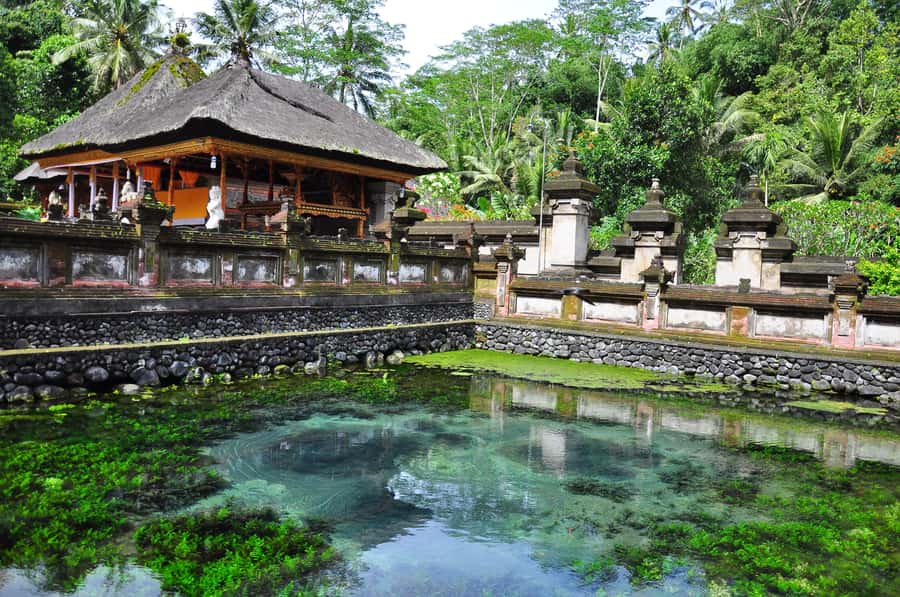 Ubud: Monkey Forest, Ceking Rice Terraces and More– Full Day - Tegallalang Rice Terrace, the day’s best walk