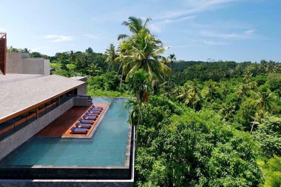 Ubud/Monkey Forest: Habitat Bistro Dining E-Voucher - A Quiet Meal Beside Ubud’s Monkey Forest