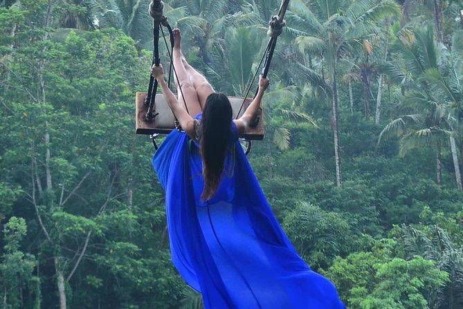 Ubud Monkey Forest, Holy Water Temple & Waterfalls Tours - Monkey Forest: an active start with cheeky macaques
