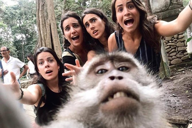 Ubud Monkey Forest, Holy Water Temple & Waterfalls Tours - Local lunch at Waroeng D’Yoni
