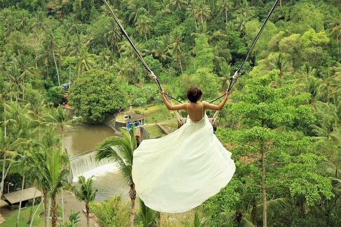 Ubud: Monkey Forest, Jungle Swing, Rice Terrace, and Water Temple - Monkey Forest: A Shaded Start With Wild Animals