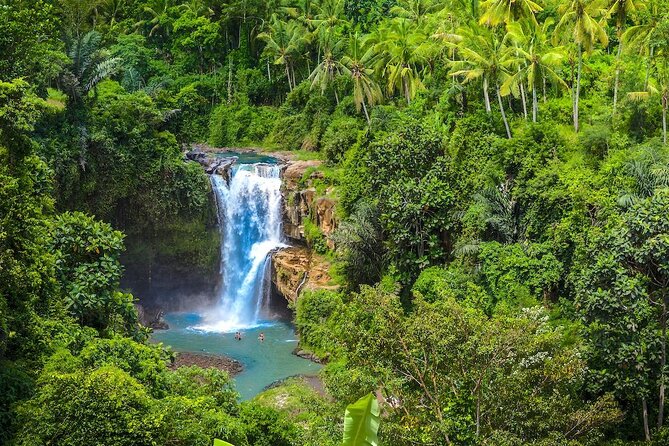 Ubud: Monkey Forest, Jungle Swing, Rice Terrace, and Water Temple - The Driver-Guide Makes or Breaks the Day