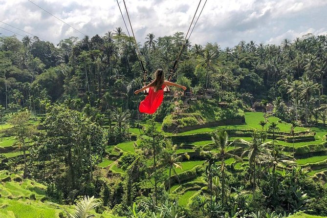 Ubud: Monkey Forest, Jungle Swing, Rice Terrace, and Water Temple - Tegalalang Rice Terrace and the Reality of the View