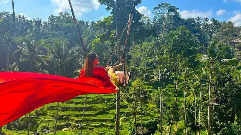 Ubud Monkey Forest, Rice Terrace, and Swing Private Tour - Private transport and the pace of the route