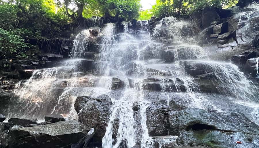 Ubud Monkey Forest, Rice Terrace, and Swing Private Tour - Sacred Monkey Forest: an energetic first stop